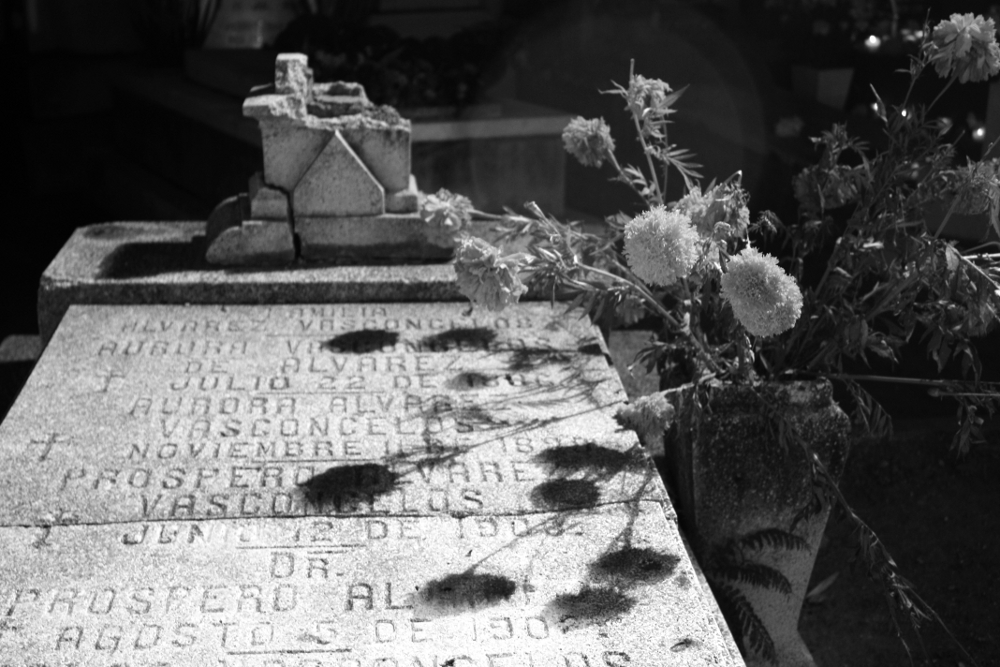 Dia de los muertos essay